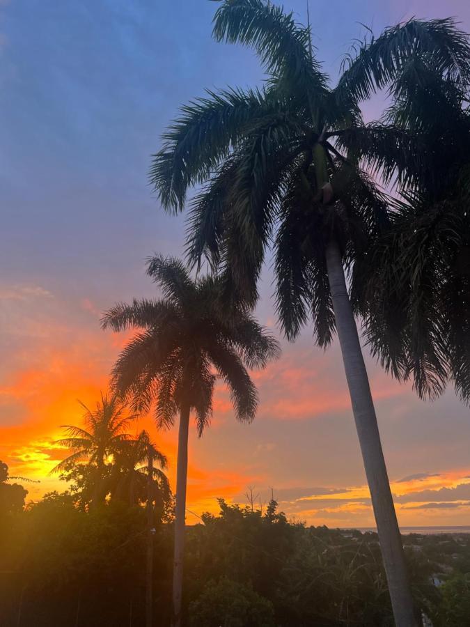 Отель Peaceful Palms Бухта Монтего Экстерьер фото