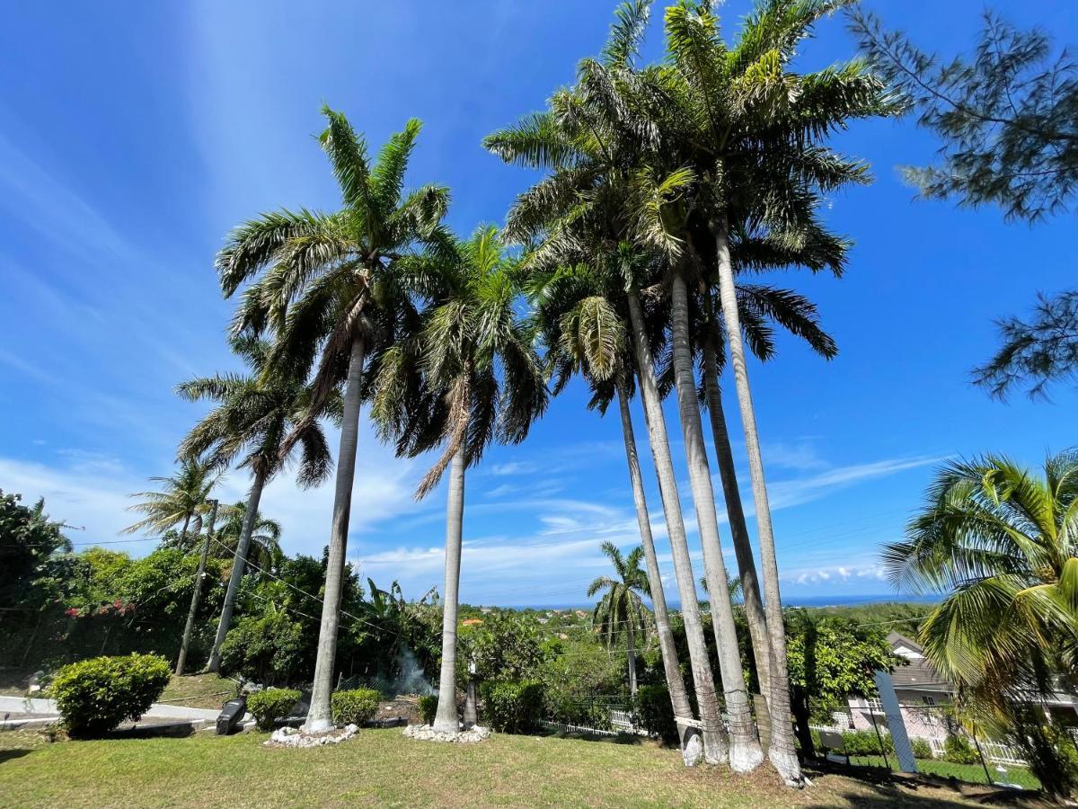 Отель Peaceful Palms Бухта Монтего Экстерьер фото
